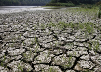 An area is uncovered by the lowering of the water level from the Magdalena river, the longest and most important river in Colombia, due to the lack of rain, in the city of Honda, January 14, 2016. While flooding and intense rain wreak havoc on several countries in Latin America, El Nino brings other harmful effects to Colombia with severe drought. Picture taken January 14, 2016. REUTERS/John Vizcaino - RTX22YH8