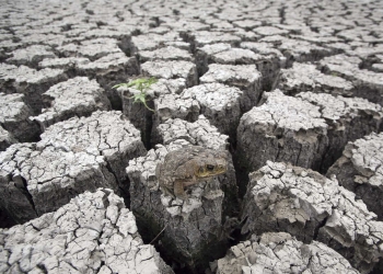 IMagen de la sequía que asola a gran parte del planeta. FOTO: Reuters