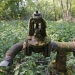 Rusted pipework is seen near an abandoned paraffin wax factory in a forest in Merkwiller-Pechelbronn, May 7, 2014. Alsace, the cradle of the French oil exploration industry in the mid-18th century, is witnessing a tentative return of small oil explorers in the eastern region on the German border. With oil prices hovering around $100, a dozen fields are pumping again, in a region that once provided 5 percent of French needs and gave birth to international oil services giants such as Schlumberger, before fading into insignificance in the 1960s when the barrel lingered around $15. Picture taken May 7, 2014.    REUTERS/Vincent Kessler     (FRANCE - Tags: BUSINESS COMMODITIES ENERGY)

ATTENTION EDITORS: PICTURE 09 OF 20 FOR WIDER IMAGE PACKAGE 'BLACK GOLD OF ALSACE' 
TO FIND ALL IMAGES SEARCH 'ALSACE KESSLER' - RTR48GWN