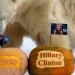 Félix, oso polar Siberia elecciones