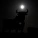 La súper luna se levanta sobre una figura de la cartelera de tamaño de un toro, conocido como el "Toro de Osborne" en El Berrón, cerca de Oviedo. Foto: Reuters