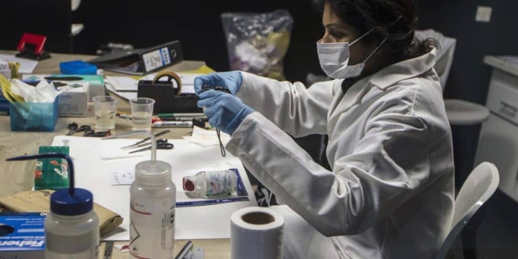 Paralizado el número de mujeres científicas en España. Foto: Reuters