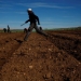 Trabajadores del campo. FO>TO. Reuters