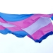 Bandera transexualidad.