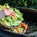 La UE firma una ley en contra de los desperdicios de alimentos