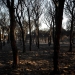 Incendio de Doñana. FOTO: Reuters