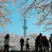 Un recorrido por el Tokio más cultural y monumental