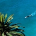 A woman swims in the Mediterranean Sea during a sunny summer day in Nice, southeastern France, July 30, 2014.  REUTERS/Eric Gaillard (FRANCE - Tags: ENVIRONMENT SOCIETY TRAVEL) - RTR40NNE