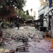 Terremoto en la isla griega de Kos. FOTO: Reuters