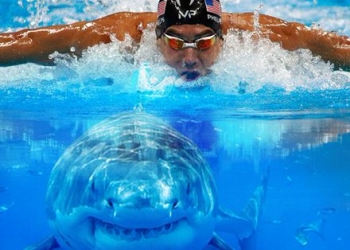 Cambiar un hábito y constuíír nuevos: la fórmula del éxito de Michael Phelps