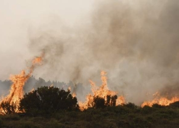 Estabilizado el incendio de León tras arrasar 8.000 hectáreas