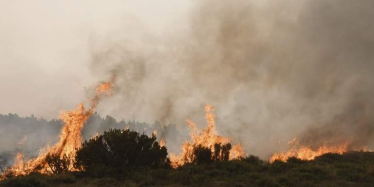 Estabilizado el incendio de León tras arrasar 8.000 hectáreas