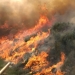 Incendio en el Parque de Gredos.