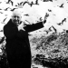 Alfred Hitchcock - Los Pajaros