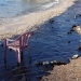 El petróleo que salió de un pequeño barco petrolero que se hundió el 10 de septiembre, se ve en una playa de la isla de Salamina, Grecia