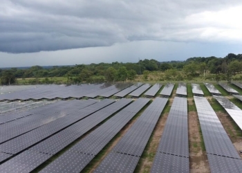 Puertas abiertas a las energías renovables en Argentina