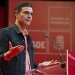 Pedro Sánchez, líder del PSOE.