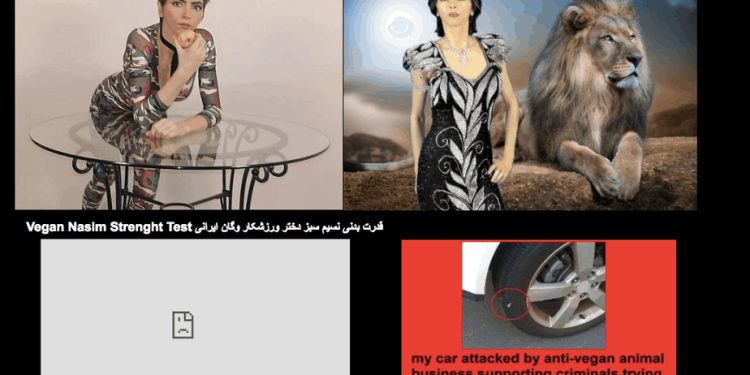 Nasim Aghdam: la mujer que disparó en el Tiroteo en YouTube