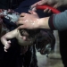 Imágenes del ataque quimico en Siria