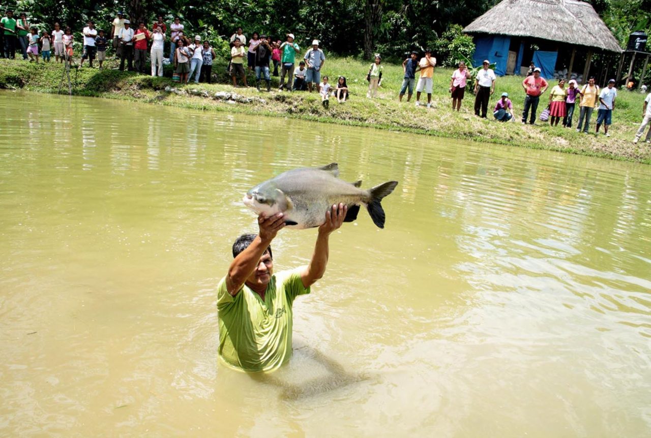 El consumo mundial de pescado "es insostenible", advierte la ONU