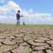 ONU Cambio Climático muestra con éxito recuperación de ecosistemas