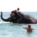 Un elefante de circo disfrutando de un baño en el mar Negro