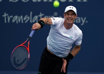 andy murray