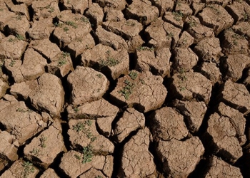 Las altas temperaturas que han azotado toda Europa en los últimos meses se mantendrán de octubre a diciembre/Reuters