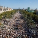 Multitudinaria la concentración por el día de la Diada en Cataluña/Reuters