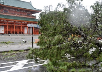 Un árbol dañado por el tifón Jebi se ve frente al Santuario Heian en Kyoto, en esta foto tomada por Kyodo el 4 de septiembre de 2018. Crédito obligatorio Kyodo / a través de REUTERS