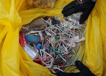 Un voluntario muestra palillos y plásticos después de una recolección de basura antes del Día Mundial del Medio Ambiente en la playa de La Costilla, en Rota, 2 de junio de 2018. REUTERS / Jon Nazca