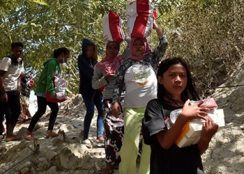 Supervivientes del tsunami de Indonesia buscaban este miércoles en forma desesperada comida en las granjas/Reuters