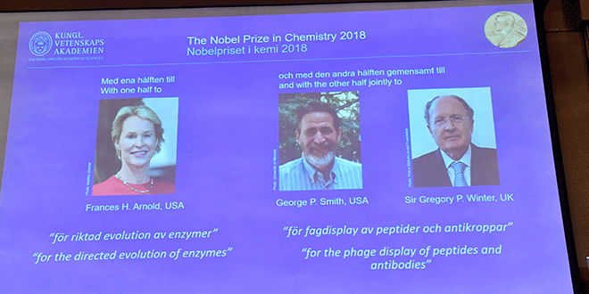 En la imagen, los ganadores del Premio Nobel de Química 2018 en una pantalla en Estocolmo, Suecia, 3 de octubre de 2018. Jonas Ekstromer/TT News Agency/via REUTERS