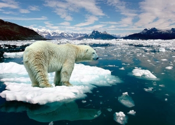 El deshielo provocado por una temperatura de 2°C incrementaría en 10cm el nivel del mar