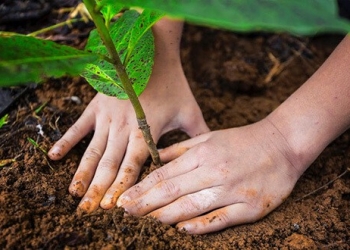 La campaña #Climattitud inicia con un cuestionario que evalúa la postura climática de los internautas