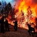 Grupo de bomberos combaten las llamas para intentar salvar un hogar en Paradise, California. REUTERS/Stephen Lam