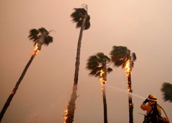 Un bombero rocía palmeras en Malibú en medio del incendio Woolsey, en California, el 10 de noviembre de 2018. REUTERS/Eric Thayer