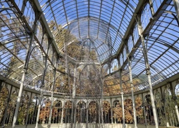 Instalación del artista Jaume Plensa en el Palacio de Cristal de Madrid. Foto: Joaquín Cortés  /  Román Lores.