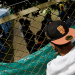 Un hombre venezolano mira dentro de un campamento temporal para inmigrantes venezolanos en Bogotá, Colombia, 19 de noviembre de 2018. Fotografía tomada el 19 de noviembre de 2018. REUTERS / Luisa Gonzalez