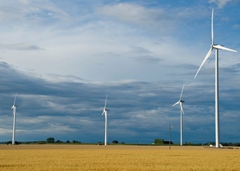 El avance de energías limpias debe tomar en cuenta la protección de la biodiversidad