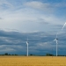 El avance de energías limpias debe tomar en cuenta la protección de la biodiversidad