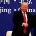 El presidente de Estados Unidos, Donald Trump, y el presidente de China, Xi Jinping, se reúnen con líderes empresariales en el Gran Salón del Pueblo en Beijing, China, 9 de noviembre de 2017.