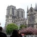 Espiritu de Notre Dame sigue de pie en toda Francia