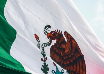 La gran paradoja de la reforma energética mexicana es que, cuando el mercado se abre a la iniciativa privada, se rompen todos los récords de importación de combustibles y petroquímicos.