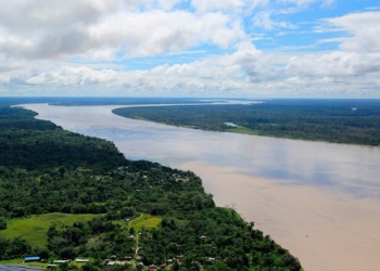 El río Amazonas.