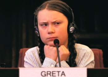 Greta Thunberg ha logrado llevar la protesta a los grandes foros del mundo.