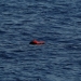 Un migrante muerto con un chaleco salvavidas flota en el Mediterráneo central frente a la costa de Libia, el 16 de abril de 2017.