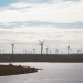 Whitelee Windfarm