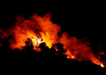 El fuego ya ha arrasado más de 55.000 hectáreas en nuestro país