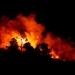 El fuego ya ha arrasado más de 55.000 hectáreas en nuestro país